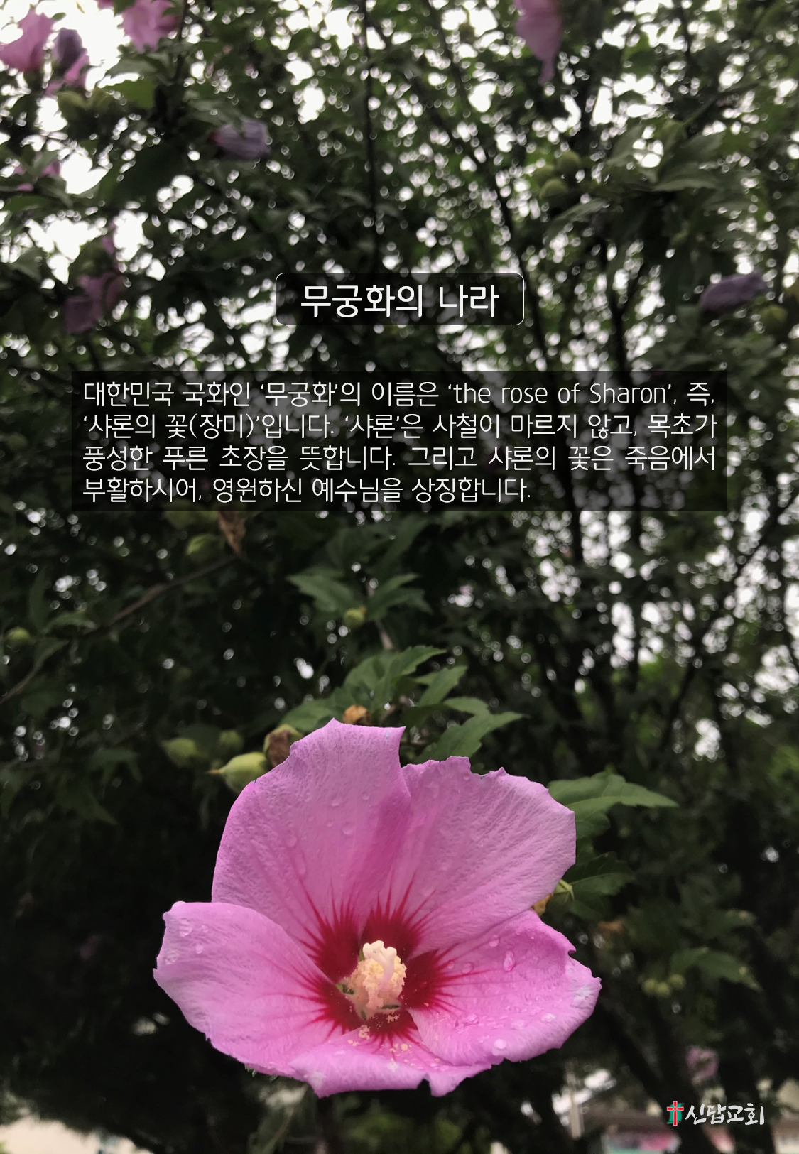 그림1.png
